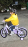 奥仕龙（AO SHI LONG）库洛米儿童自行车女孩5-6-8岁小孩单车16寸脚踏童车 源头直发 实拍图