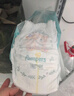 帮宝适[会员专享试用装]一级帮拉拉裤尿不湿尿片 超薄透气L+4 实拍图