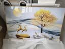 Sixpoetry 客厅装饰画现代简约沙发背景墙壁画轻奢三联晶瓷画大气高档挂画 福禄连年（铝合金外框） 镶钻画左右60*80+中间120*80亮面 实拍图