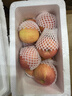 正宗新鲜苹果脆甜多汁水果整箱批发生鲜新鲜好吃当季应季生鲜特产 精品苹果【带箱3-3.5斤】 实拍图