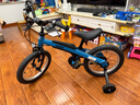 九号（Ninebot）儿童自行车4-6岁单车铝合金脚踏车蓝色16寸适合身高105-125cm 实拍图