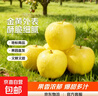 山东烟台黄金奶油富士苹果脆甜冰糖心很像维纳斯苹果 果王带箱9.5斤80mm+ 实拍图