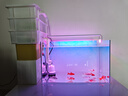 燕之雁 鱼缸LED水草灯 三档变色 照明灯 增艳灯 适用鱼缸38-50cm 10W 实拍图
