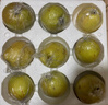 隰县玉露香梨 【顺丰现货】整箱香梨当季水果山西隰县小西天特产 孕妇水果送礼 9粒大果（净重5-6斤）单果80+mm 实拍图