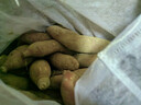 京鲜生天目小香薯海南3斤 单果约30g-100g 香甜软糯  源头直发 实拍图
