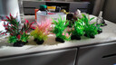萌嘟星宠 仿真水草鱼缸造景套装水族箱布景装饰摆件假植塑料假水草 5件套 实拍图