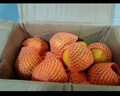 XIAOBO FARM正宗赣南脐橙甜橙 鲜橙子手剥橙榨汁果冻橙冰糖半价水果 4.5-5斤60mm+ 实拍图