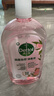 滴露（Dettol）香氛自然衣物消毒液杀菌48H留香洗衣除汗臭儿童玩具消毒水1L*4 实拍图