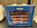 摩飞电器（Morphyrichards）干果机 烘干机食品风干机小型食物 水果蔬菜肉类宠物零食自制牛肉干鸡肉干家用迷你电烤箱 MR6255 轻奢蓝 8L 实拍图