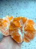 京鲜生 湖北秭归果冻橙九月红脐橙4.5斤单果150g 应季水果源头直发 包邮 实拍图