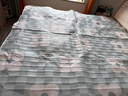 彩虹生活【高温断电】双人定时物理双温双控无纺布电热毯电褥子2*1.8米 实拍图