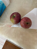 京喜加正宗昭通冰糖心苹果脆甜多汁 整箱9斤A+级大果【果径75-80】 实拍图