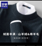 罗蒙羊绒衫男保暖半高领毛衣男2025新款秋冬款羊毛衫男 实拍图