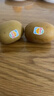 佳沛（zespri）新西兰  阳光金奇异果巨大果22粒原箱 单果重约144-175g 猕猴桃 实拍图