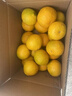 京觅江西赣南会昌桔柚4.5斤净重黄金贡柚甜橘子单果70mm+水果源头直发 实拍图
