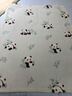 博洋宝贝（Beyond Kids）儿童毯子幼儿园毯小绒毯学生教室午睡毯 熊猫宝宝 80*100cm 实拍图