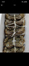 【活蟹】阳澄联合鲜活大闸蟹全母4.5-4.8两 10只生鲜螃蟹去绳足重海鲜礼盒 实拍图