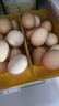 京鲜生富硒鲜鸡蛋30枚 3斤 源头直发 实拍图