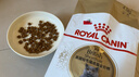 皇家英短成猫粮 BS34 通用粮 12月以上 4.5KG 实拍图