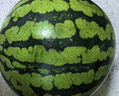 京鲜生 无籽麒麟大西瓜 1粒装 7-9斤 生鲜水果 实拍图
