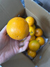 京鲜生 云南哀牢山冰糖橙/橙子 净重5斤  单果100-130g 生鲜水果礼盒 实拍图