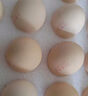 1号会员店One's Member叶黄素可生食标准鲜鸡蛋 20枚 单枚55g 源头直发 实拍图