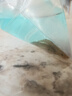 何佳功双吸盘冷水吸鳅冷水清洁鱼清道夫鱼鱼缸工具鱼长汀麦氏方式琵琶鱼 双吸盘1条3-4cm需打氧 实拍图