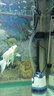 森森（SUNSUN）鱼缸潜水泵底吸水循环换水抽水泵水族箱吸粪换水泵底吸泵 【流量可调】13W防干烧 带水管 实拍图