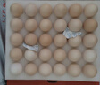 京鲜生【供港品质】【每日鲜蛋】叶黄素可生食鸡蛋30枚3.78斤/盒 礼盒  实拍图