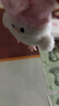 武汉文创蒜鸟发声玩偶纪念品鄂人和平鸟钥匙扣毛绒玩具公仔挂件 【限定】粉色樱花蒜鸟【1个装】 武汉蒜鸟背包挂件桌面摆件 实拍图