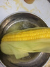 【炖煮季】黄粒甜玉米约800g 实拍图
