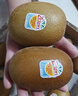 佳沛（zespri）新西兰  阳光金奇异果25-27粒原箱特大果单果约122-146g  猕猴桃 实拍图