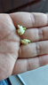贡苑12A茉莉花苞雪球40g【去梗更清甜】横县原产茉莉花茶干花蕾泡水喝 实拍图