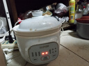 苏泊尔（SUPOR）电炖锅 电炖盅 煲汤锅炖汤锅 燕窝炖盅 熬粥煮粥神器 婴儿辅食锅 电煮锅 电汤锅DG10YC883多功能锅 实拍图
