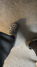 CROCS卡骆驰洞洞鞋贝雅男鞋女鞋轻便耐磨一脚蹬拖鞋休闲鞋|10126 黑色-001 41 /42(260mm) 实拍图