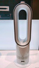 戴森（DYSON）AM15无叶凉暖风扇 凉暖两用 家用取暖器 快速制暖 整屋循环 实拍图