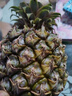 正宗海南金钻凤梨新鲜水果当季树上熟芒果凤梨【催熟食用】 1粒装单果500g-650g【7成熟，催熟再吃】 实拍图