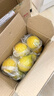 广东香水黄柠檬新鲜柠檬奶茶店专用香水黄柠檬水果产地源头直发 （带箱1斤）香水柠檬黄果单果70g起 实拍图