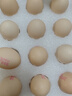 德青源PLUS联名款A+级鲜鸡蛋32枚2.74斤无抗生素 源头直发 1件包邮 实拍图