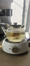 苏泊尔（SUPOR）迷你电陶炉煮茶器煮茶炉煮茶壶养生围炉煮茶茶艺炉泡茶家用办公老白茶黑茶花茶不挑器具SW-DTL01 实拍图