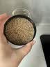 熟黑芝麻熟白芝麻现炒杂粮农家自产特产粗粮烘焙免洗即食营养健康 熟白芝麻500g*1罐 实拍图