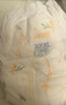 大王（GOO.N）【新升级】花信风拉拉裤XXL26片(15kg以上)婴儿超薄透气 实拍图