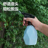 得力（deli）喷水壶喷雾器 园艺浇花酒精消毒灭蚊洗车喷壶手压式蓝色水柱/雾状 实拍图