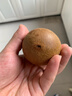 佳沛（zespri）新西兰  阳光金奇异果10粒礼盒巨大果单果约144-175g 水果 猕猴桃 实拍图