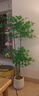 未欧南天竹仿真绿植盆栽高端轻奢室内客厅装饰摆件大型造景落地假花树 4杆南天竹+轻奢花盆 180cm 实拍图