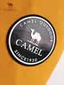 骆驼（CAMEL）王者凯甲ICON户外羽绒冲锋衣三合一专业暴雨级防水硬壳外套 B348A 实拍图