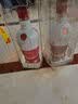 五粮液 1618 2023年 浓香型白酒 52度 500ml 单瓶【名酒鉴真】 实拍图
