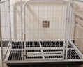 獒少保狗笼方管狗笼子大中小型犬金毛加粗宠物狗狗笼子狗屋用品 白色带天窗78*54*73cm 建议30内中小型犬 实拍图