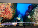 TCL电视 75T7L Pro 75英寸 QD-Mini LED 蝶翼星曜屏 万象分区 绚彩XDR 超薄 国家补贴 实拍图
