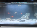 森森金麟超白玻璃鱼缸一体缸自循环客厅小型家用水族箱LE-480B 实拍图